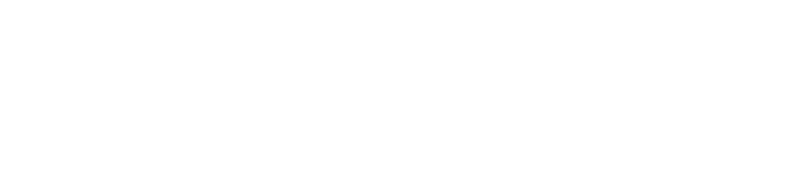 20 Jahre idsteincard